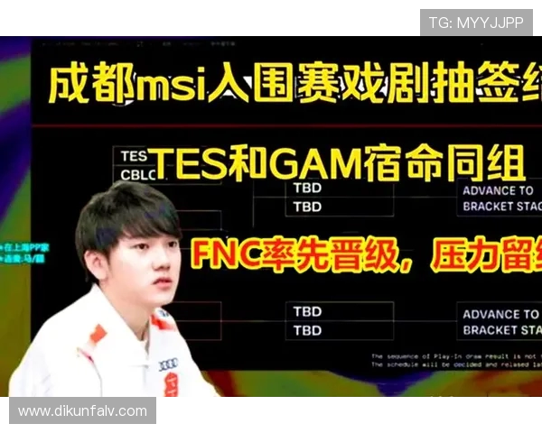 TES的成长之路：从新秀到电竞强队的奋斗历程