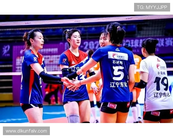 杭州排球队在冠军赛中的实力展现与未来发展潜力分析